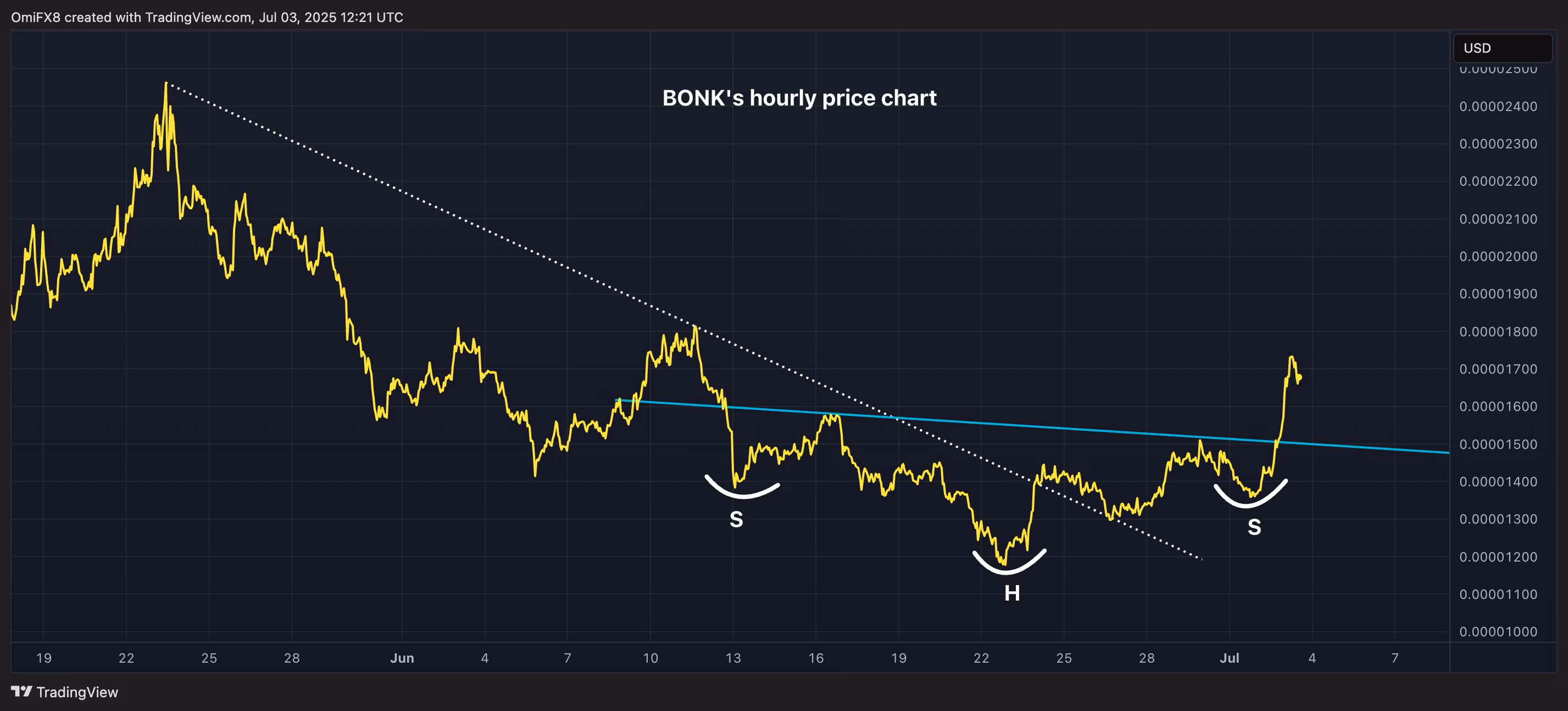 BONK's hourly price chart. (TradingView/CoinDesk)