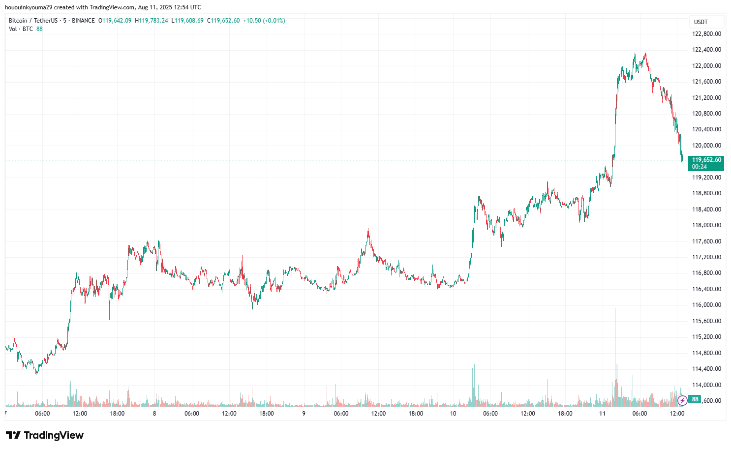 Bitcoin Price Chart