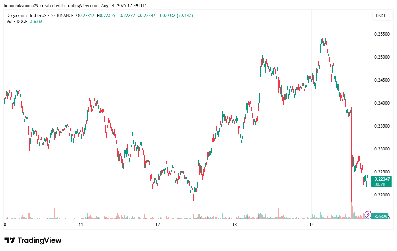 Dogecoin Price Chart