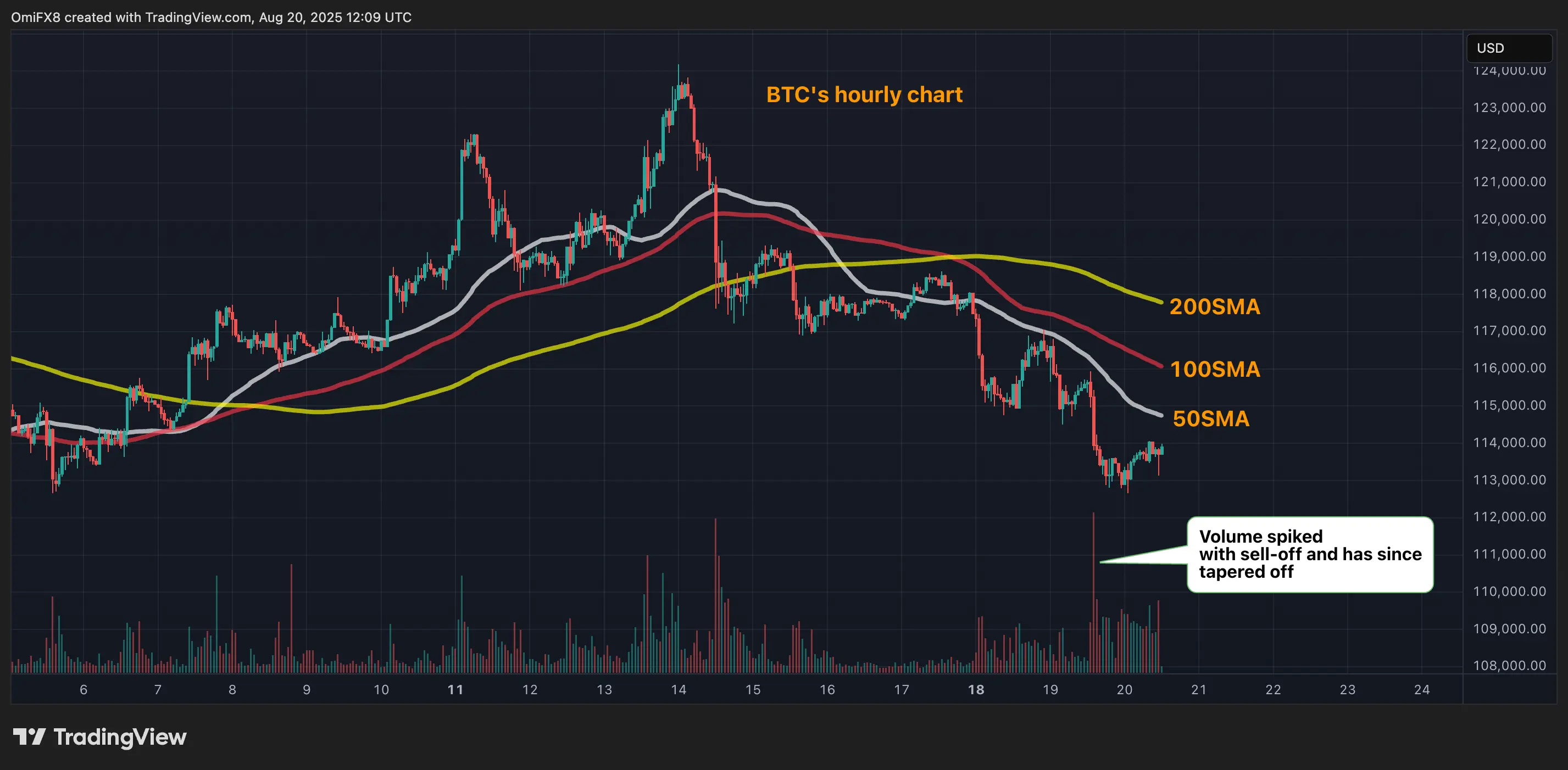 Часовой график BTC. (TradingView)