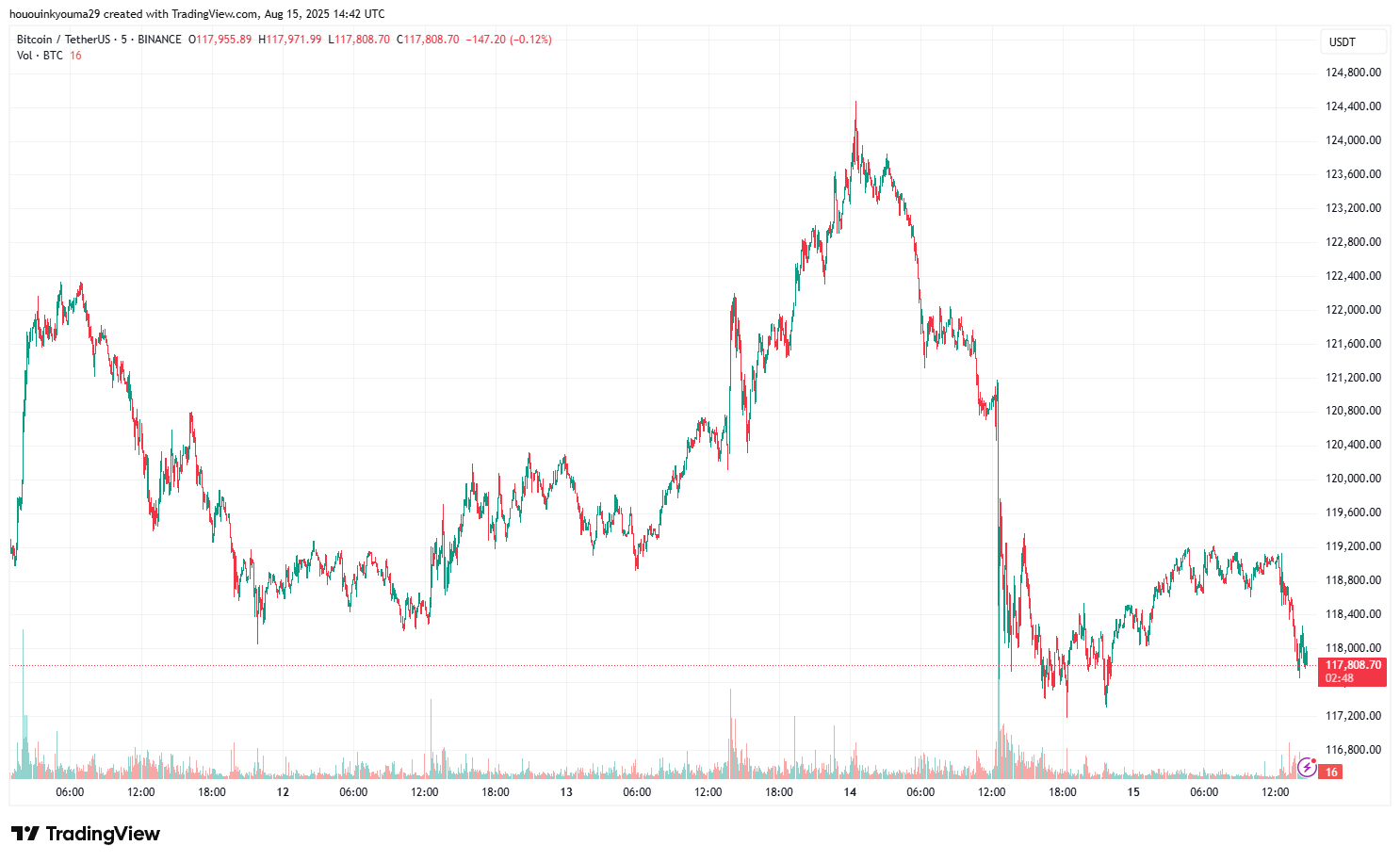 Bitcoin Price Chart
