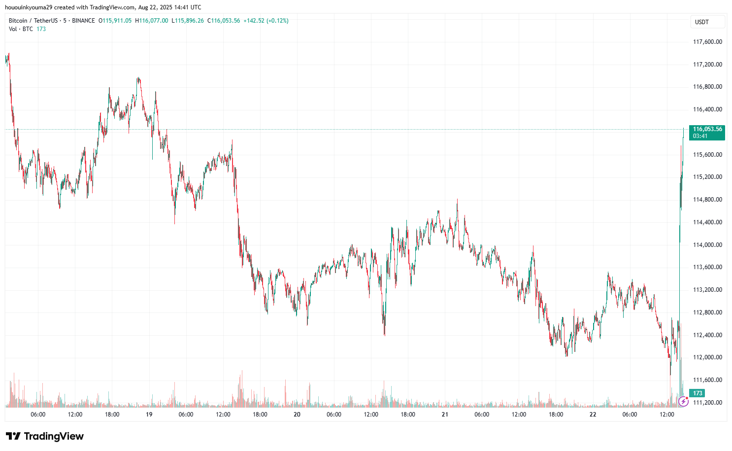 Bitcoin Price Chart