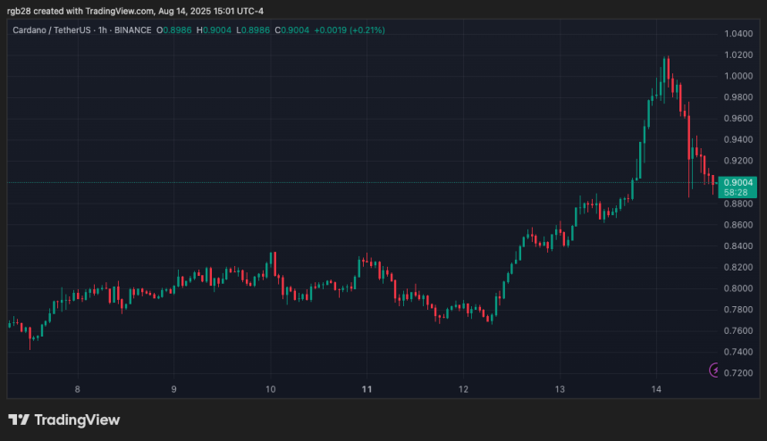 Cardano Price Movement