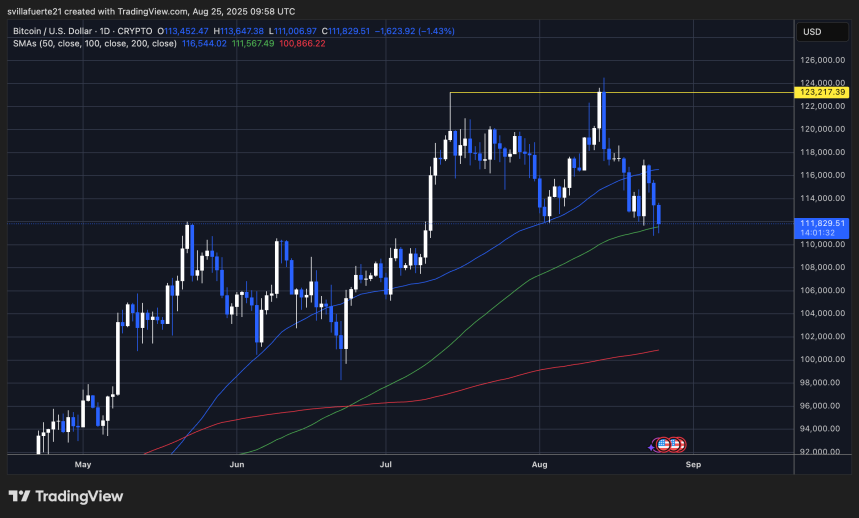 BTC holding $110K level | Source: BTCUSDT chart on TradingView