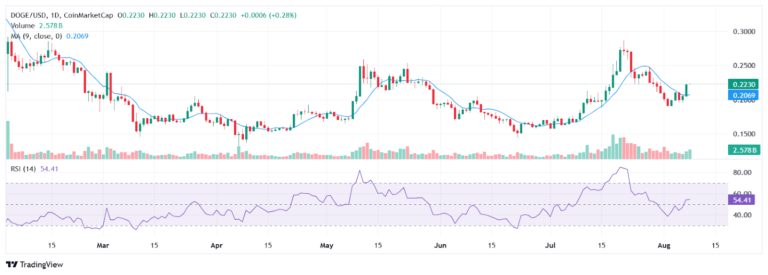 DOGE daily price chart