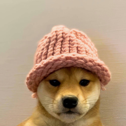 A dog wearing a pink knit cap.