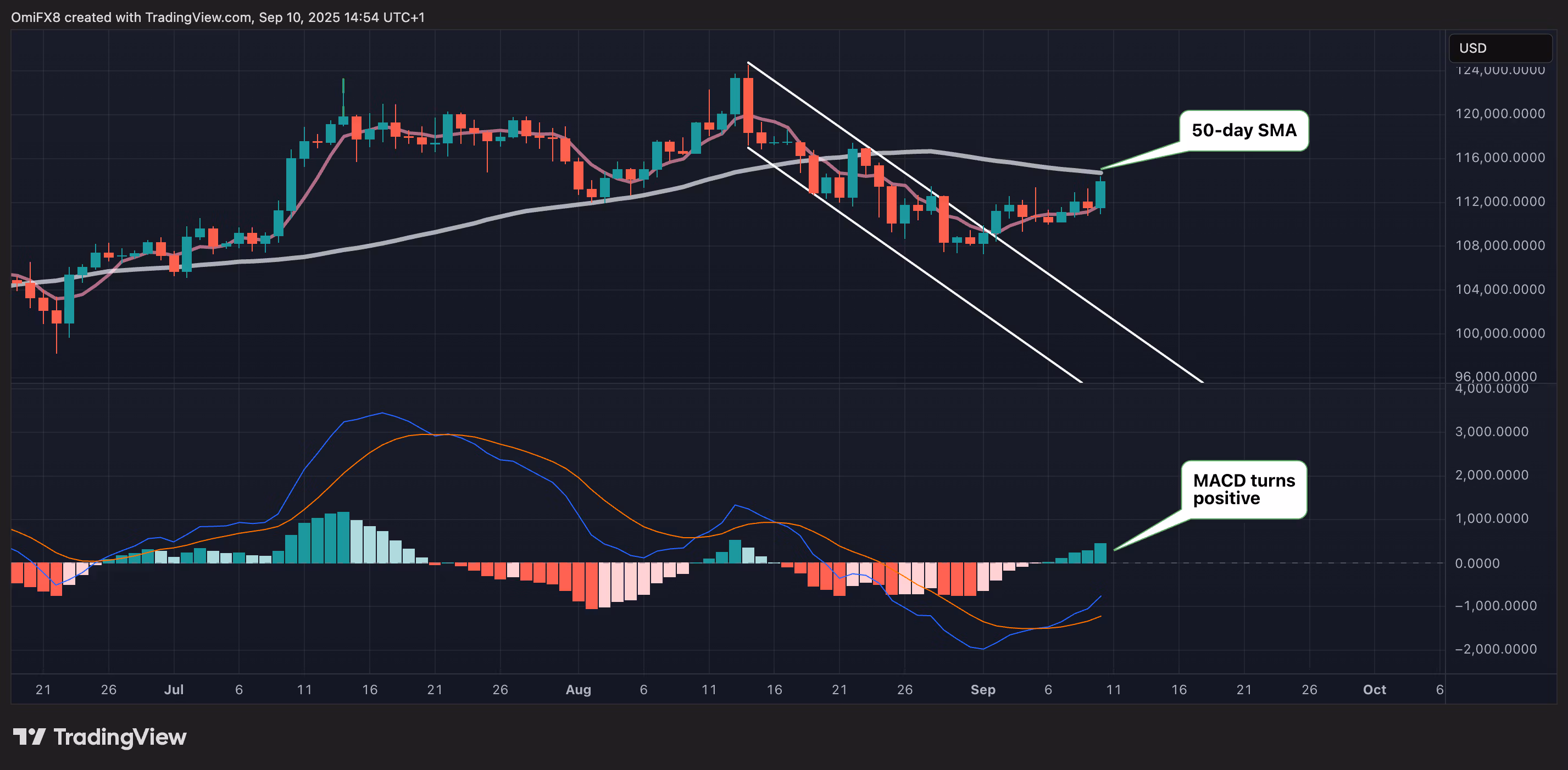 Дневной график BTC. Дневной график BTC показывает возобновленный восходящий ценовой импульс.