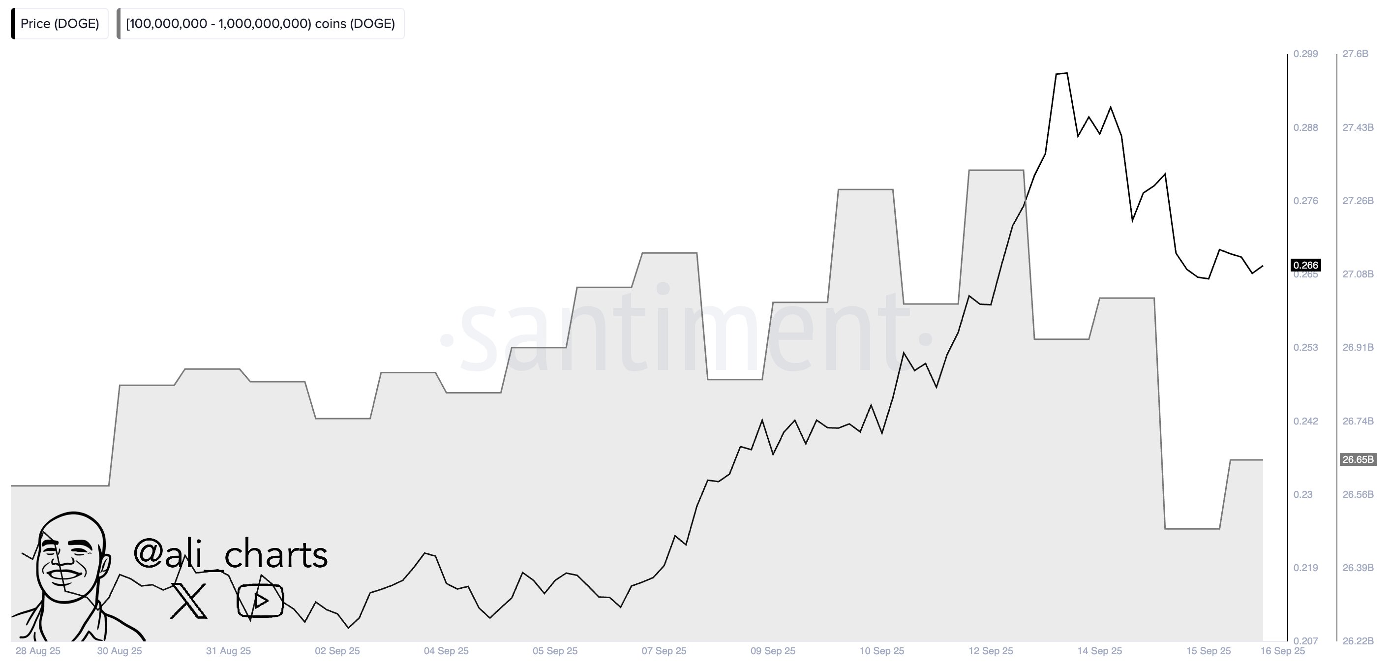 Dogecoin Whale Supply