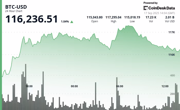График цены Bitcoin (BTC) за 24 часа, 17 сентября 2025 года (CoinDesk) График цены Bitcoin (BTC) за 24 часа, 17 сентября 2025 года (CoinDesk)