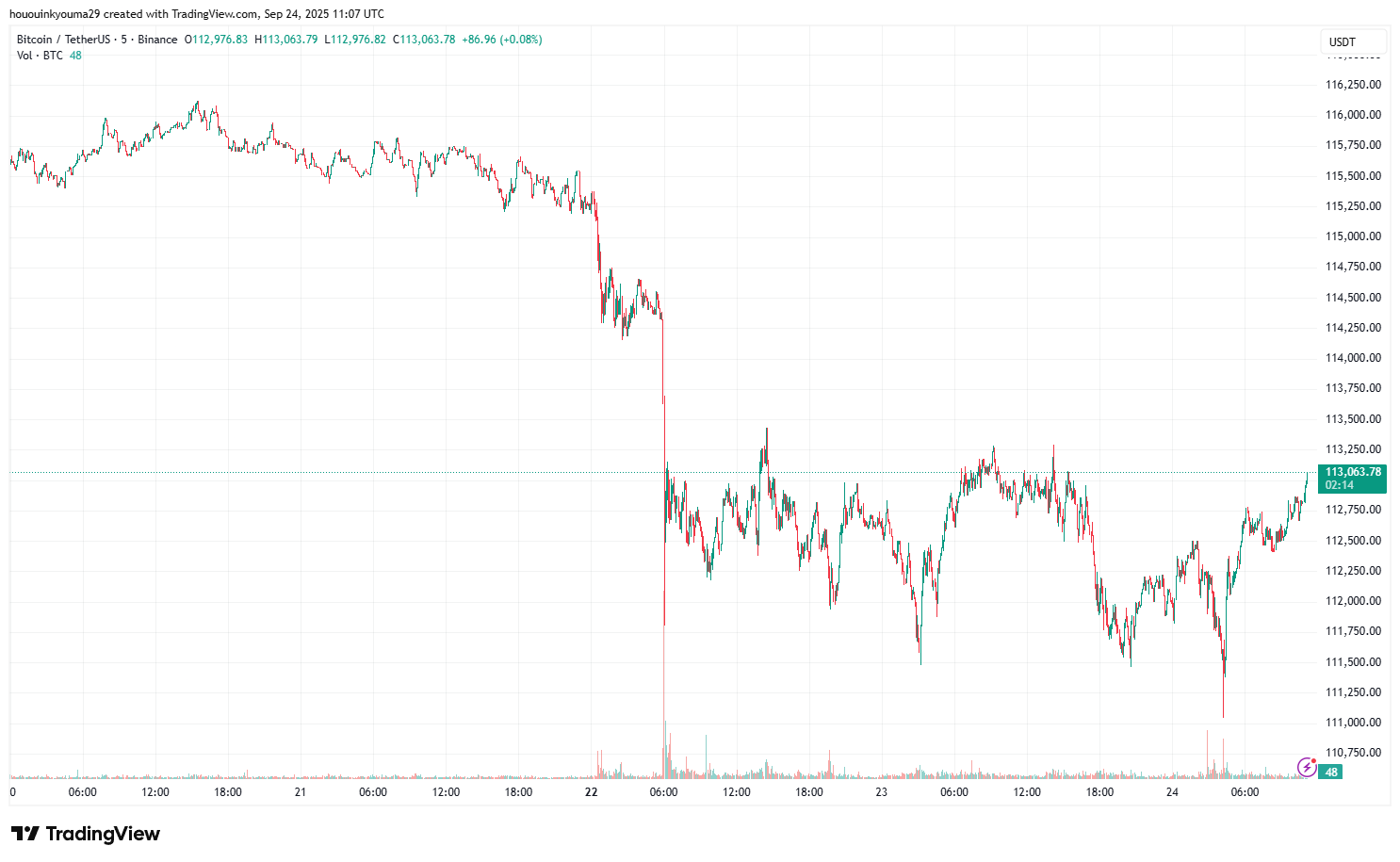 Bitcoin Price Chart
