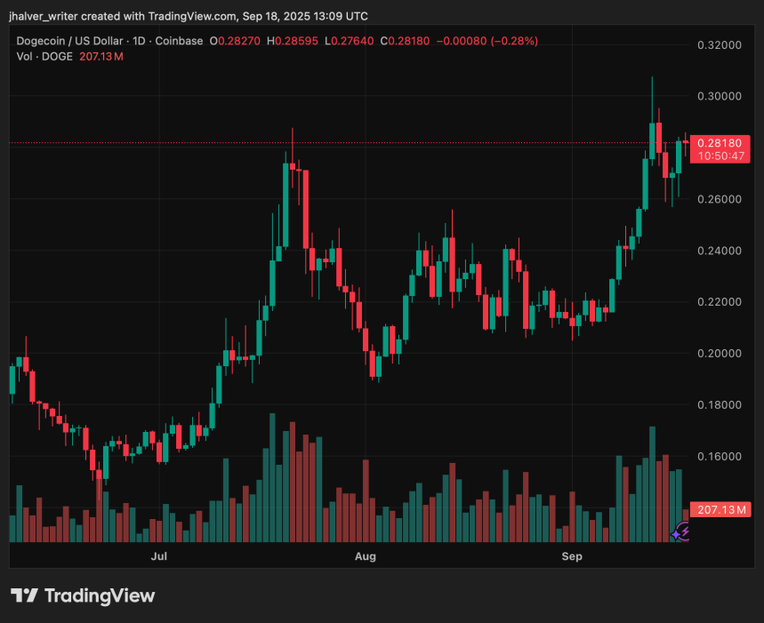 Dogecoin DOGE DOGEUSD