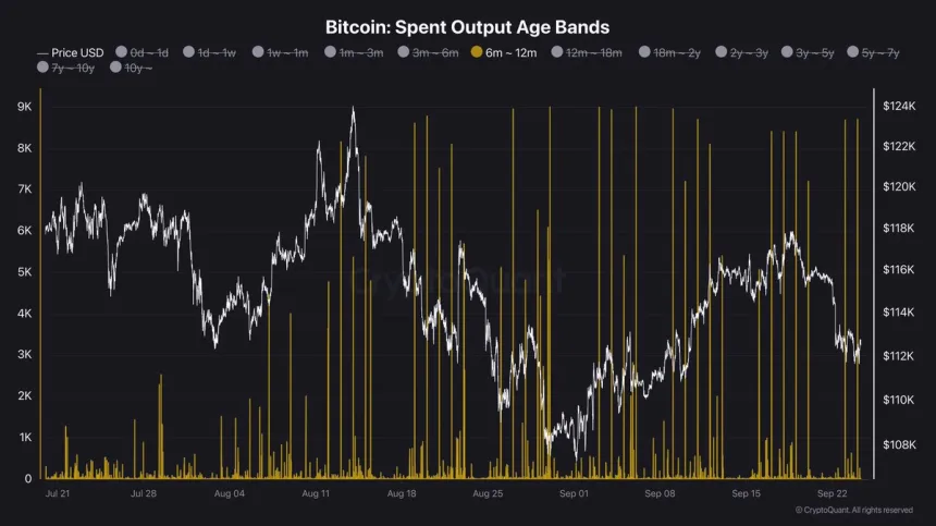 Bitcoin Spent Output Age Bands | Source: Darkfost