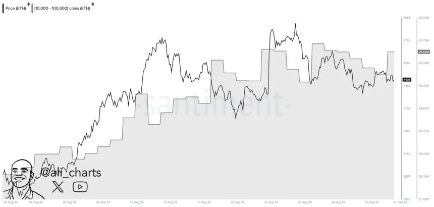 Whales add 260,000 Ethereum in 24h | Source: Ali Martinez