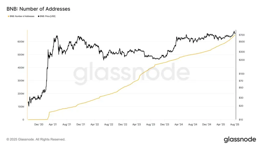 Количество адресов Binance Coin (BNB) | Источник: Darkfost