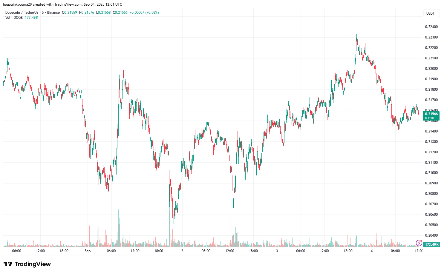 Dogecoin Price Chart