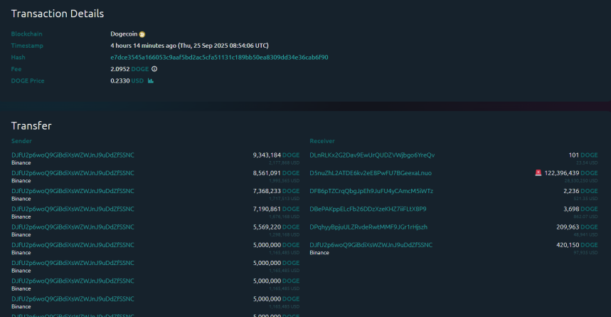 Dogecoin Whale