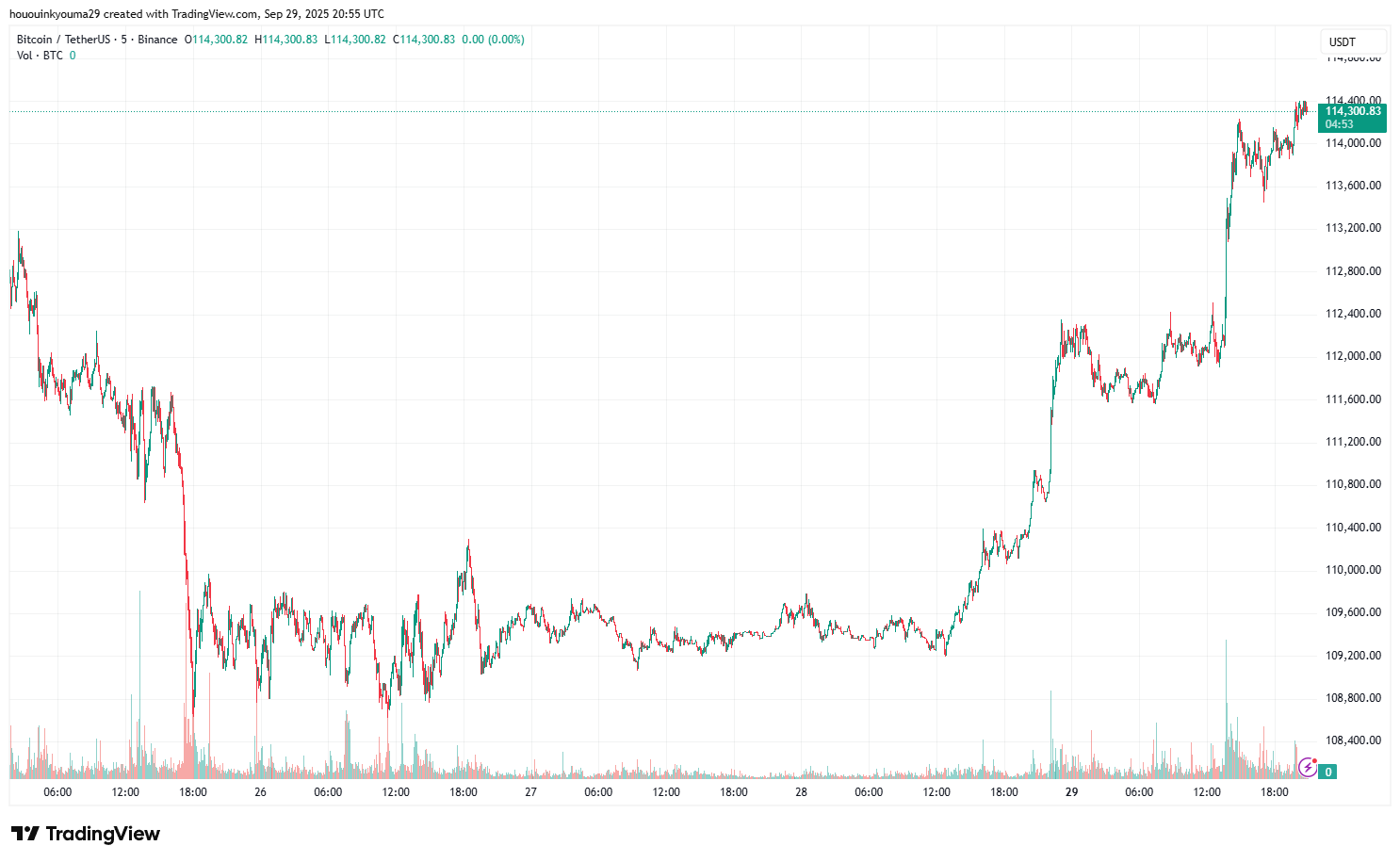 Bitcoin Price Chart