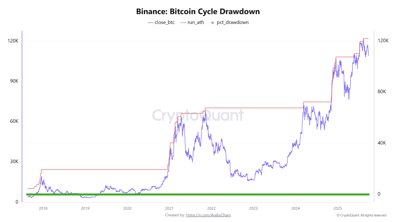 Binance: Bitcoin cycle drawdown | Source: CryptoQuant