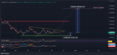 Анализ SHIB