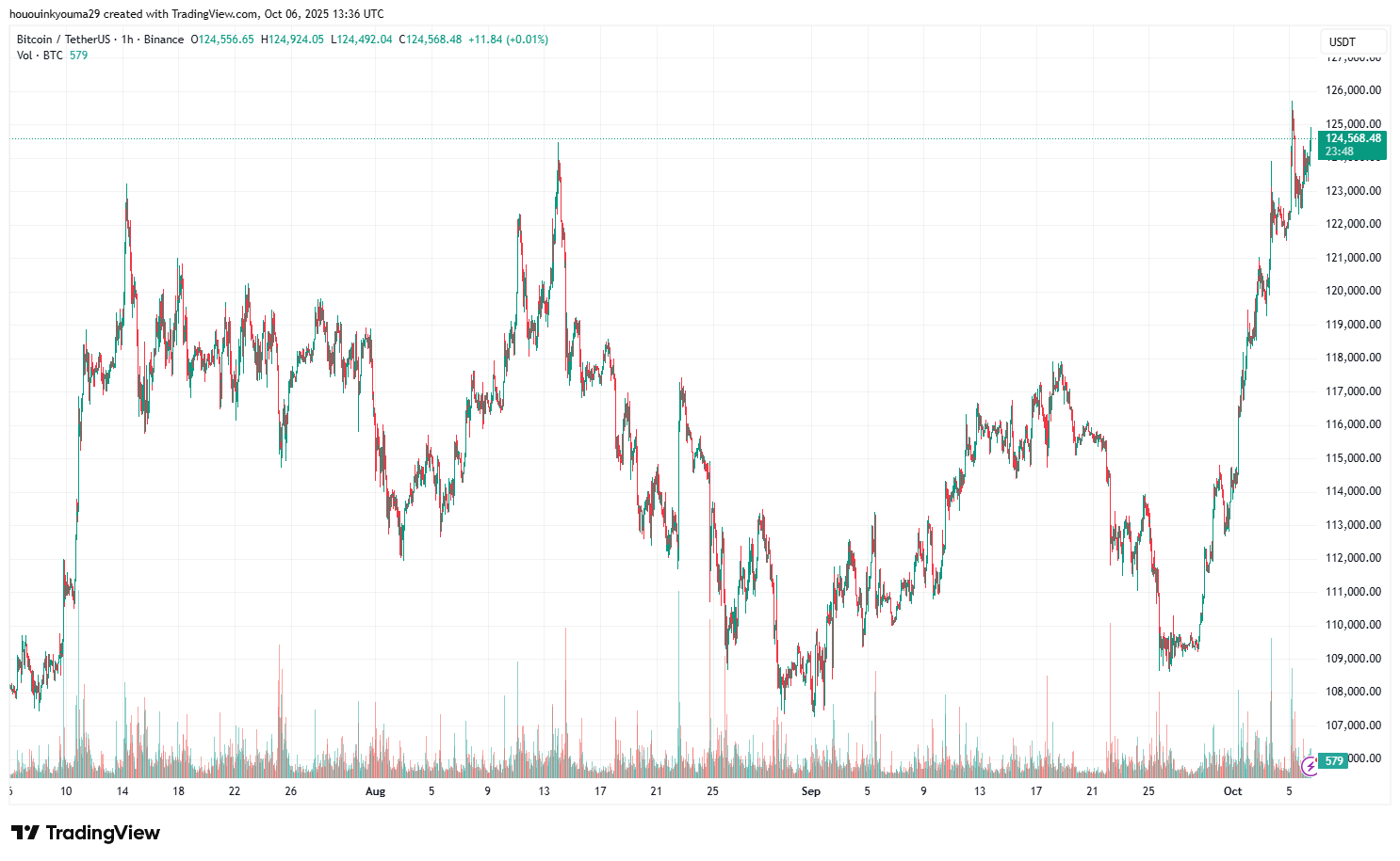 Bitcoin Price Chart
