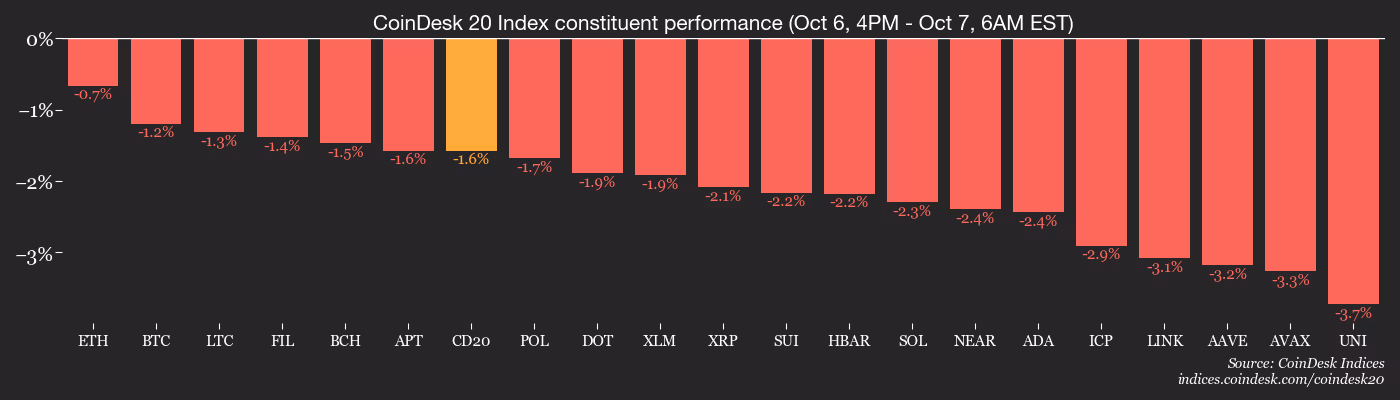 CoinDesk 20 members’ performance