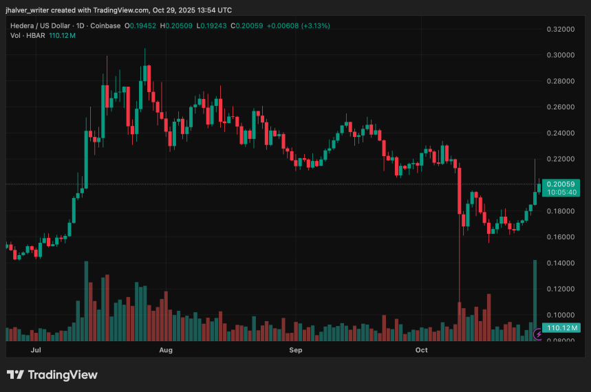 HBAR Hedera HBARUSD