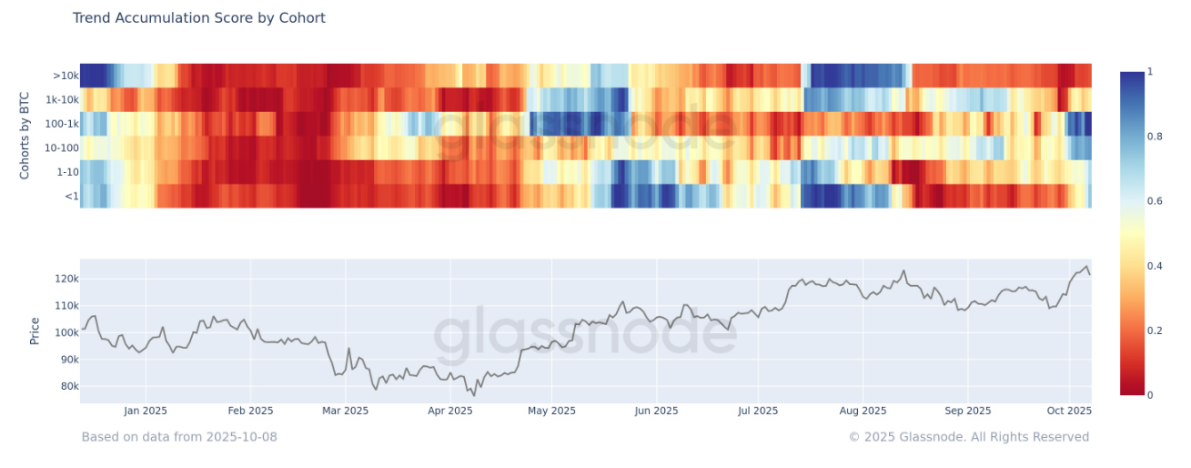 Bitcoin Accumulation Trend Score