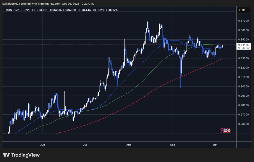 TRX консолидируется в бычьем тренде | Source: TRXUSDT chart on TradingView