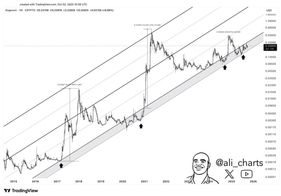 График Dogecoin