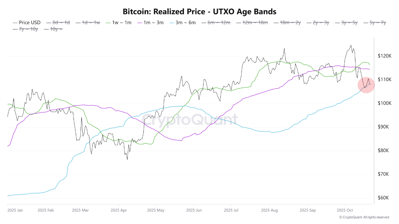 BTC UTXO Age Bands | Source: CryptoQuant