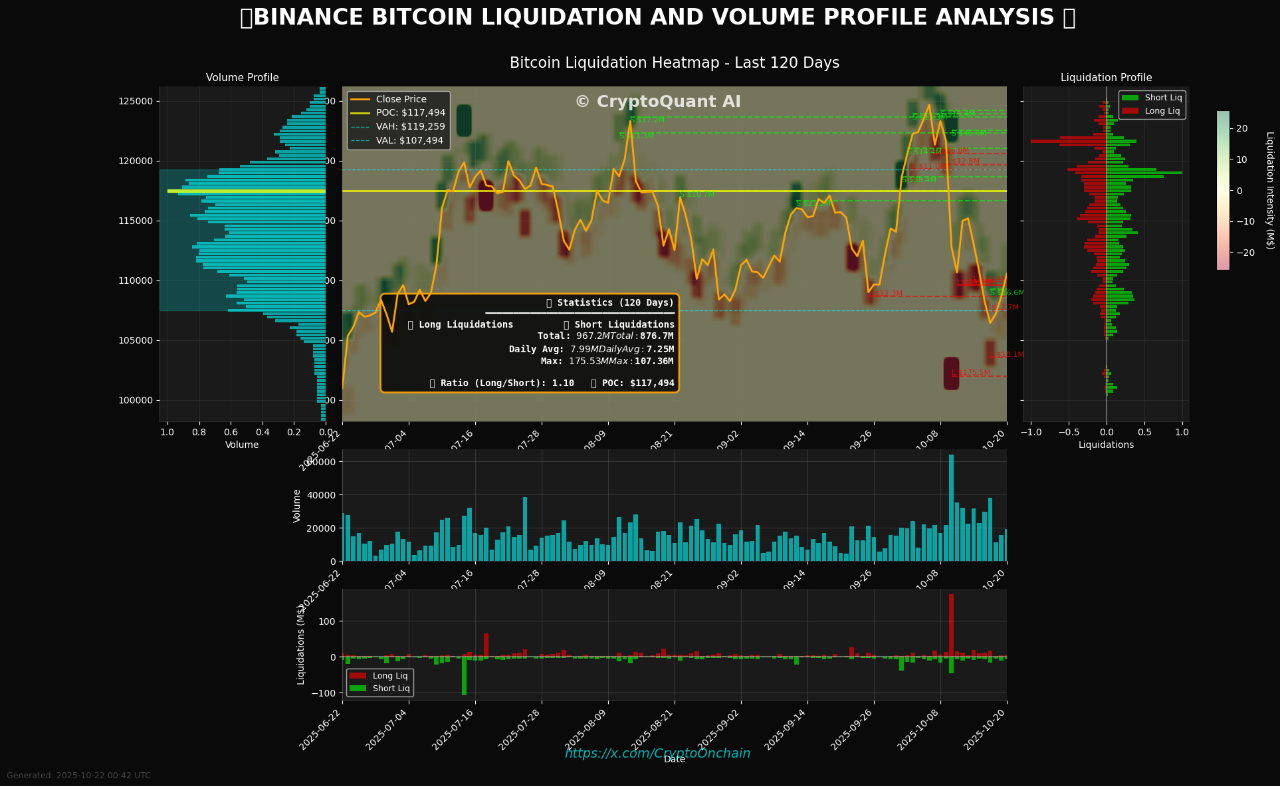 Binance Bitcoin Liquidation and Volume Profile Analysis | Source: CryptoQuant