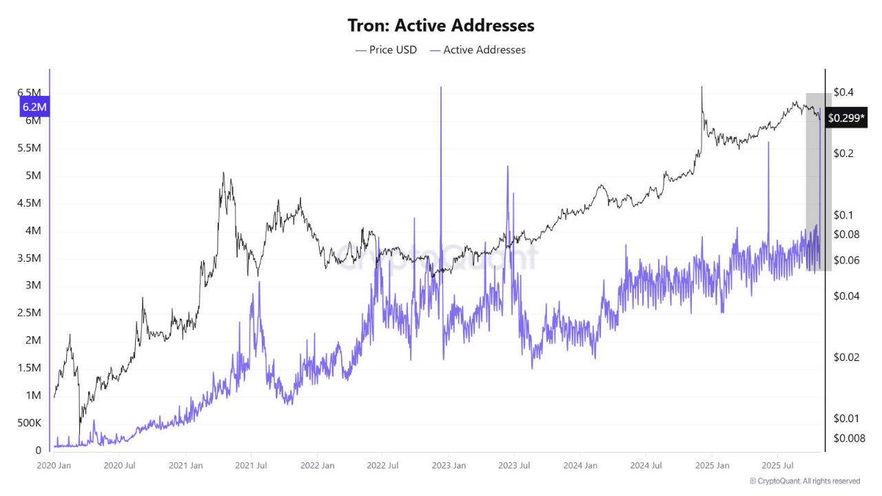 Tron Active Addresses | Source: CryptoQuant