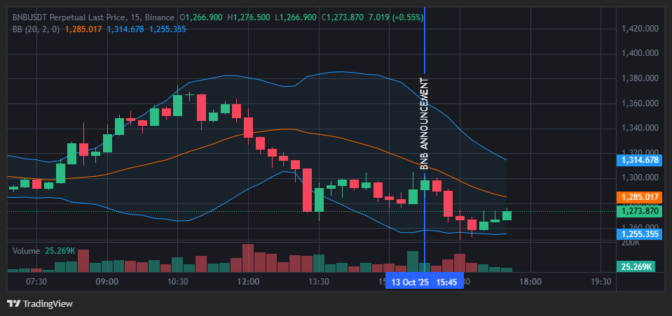 Анализ цены BNB | Источник TradingView