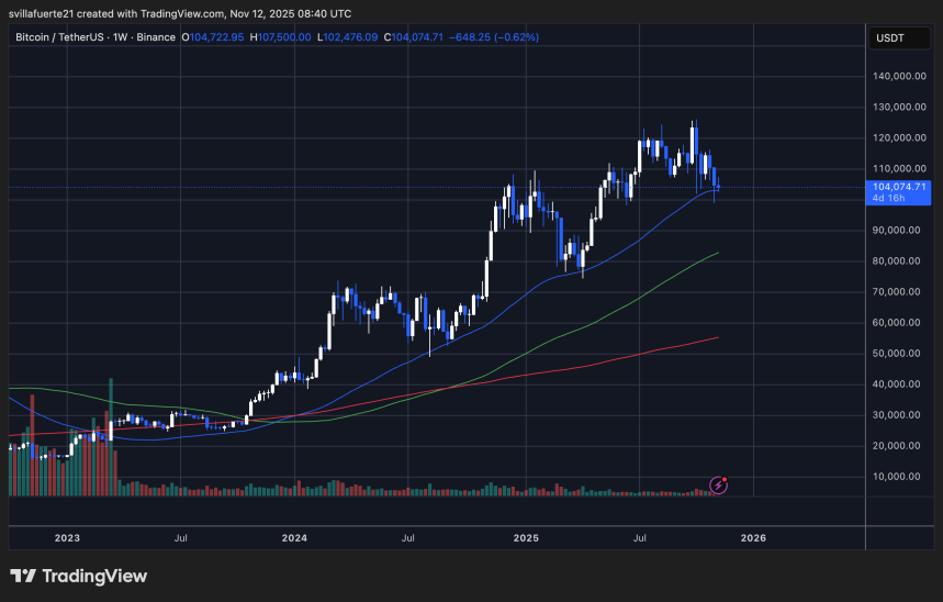 BTC holding key support level | Source: BTCUSDT chart on TradingView
