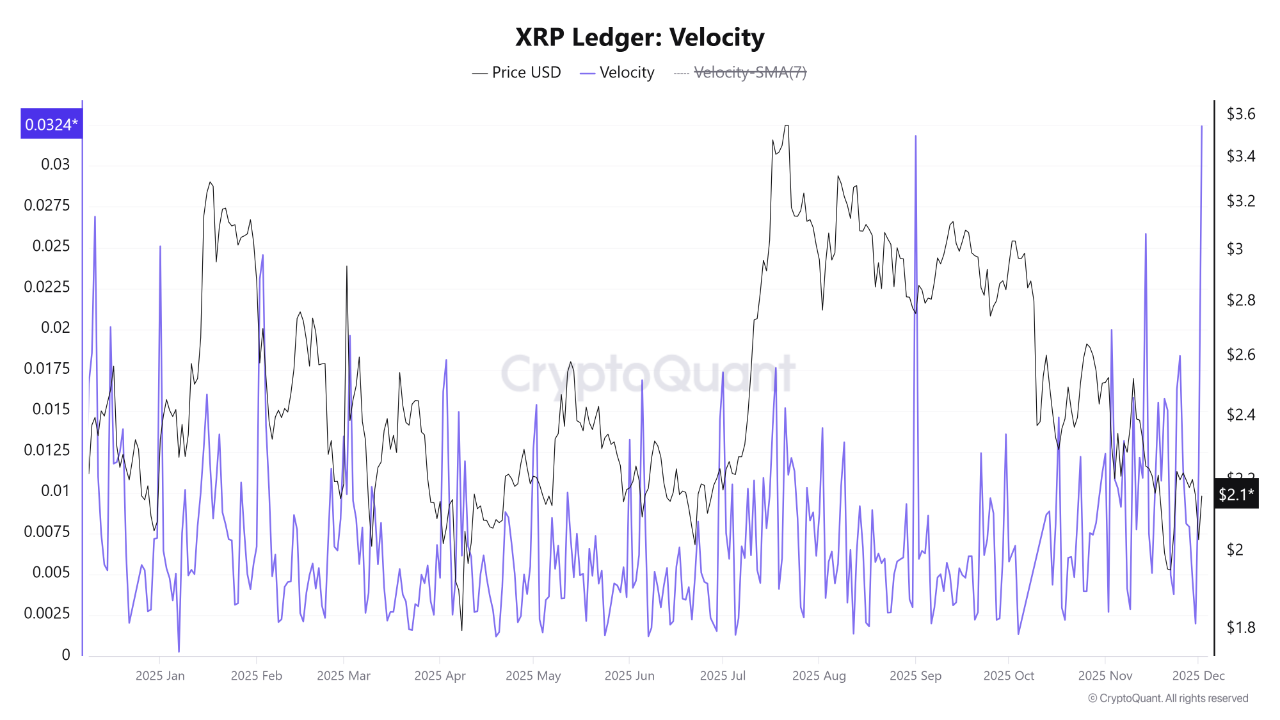 XRP Ledger Velocity | Source: CryptoQuant