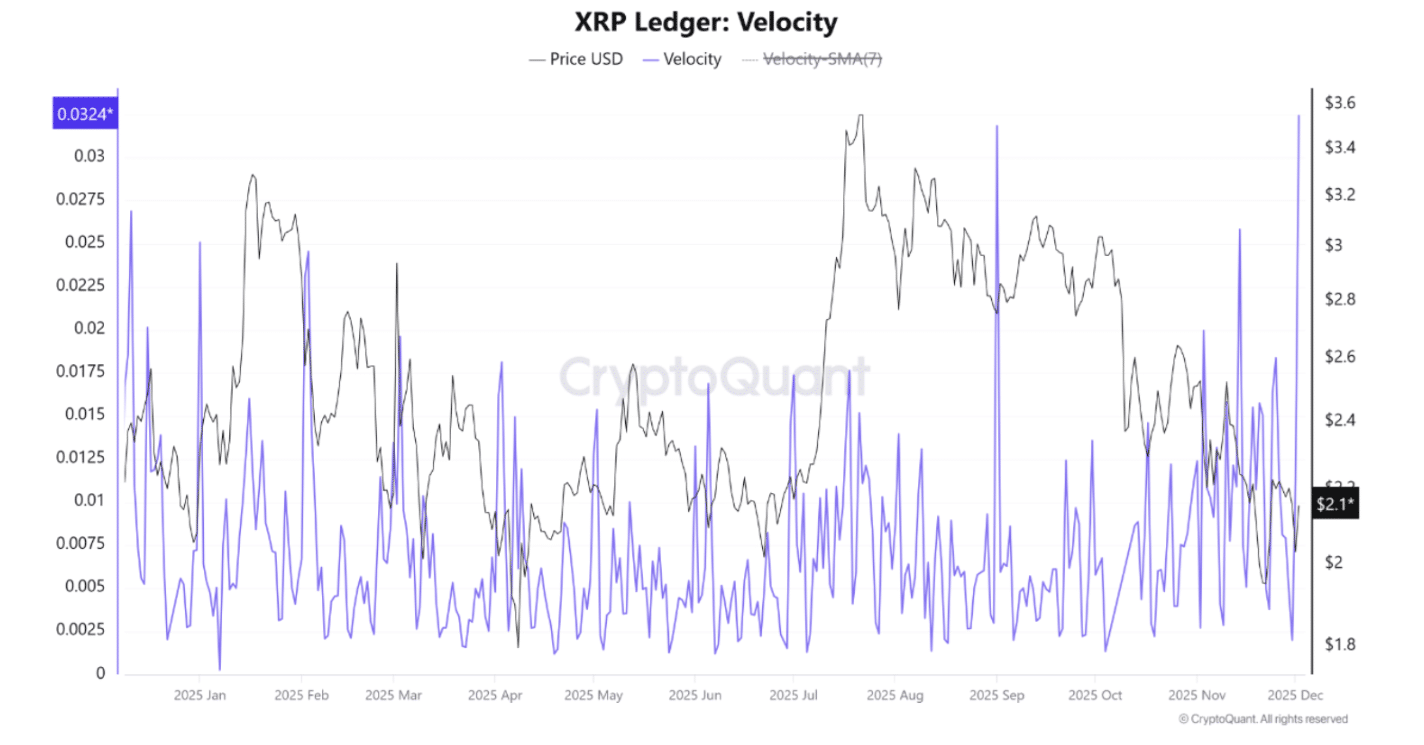 XRP ledger sharp activity