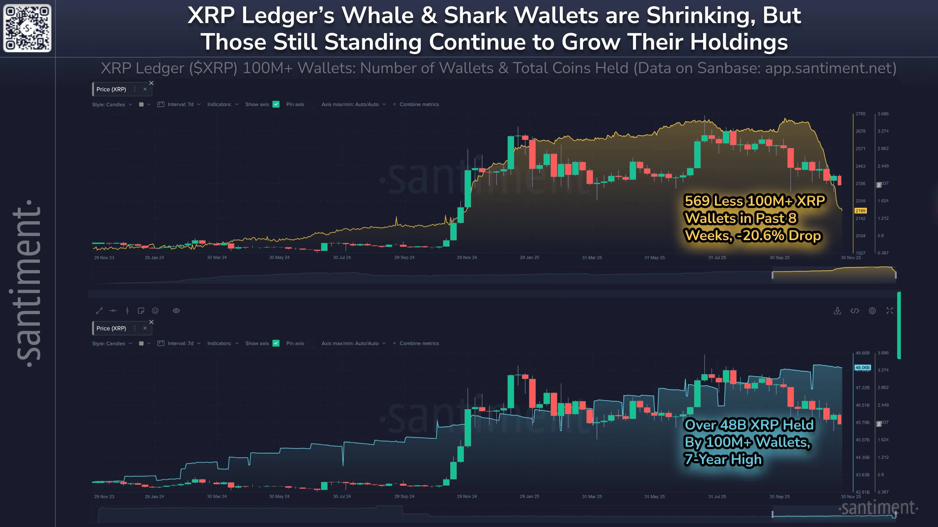 XRP whale activity