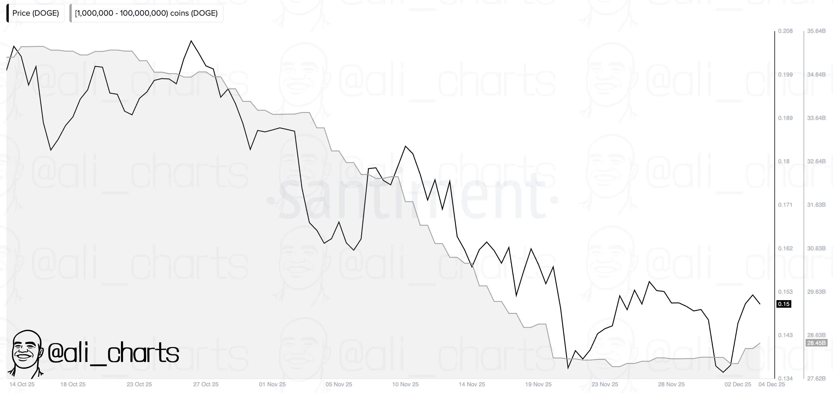 Dogecoin whale activity