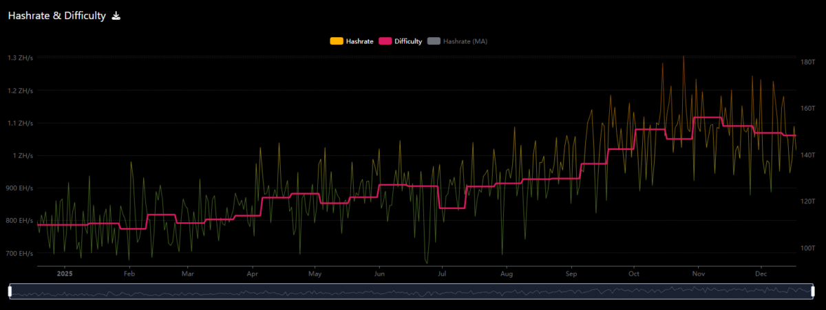 Hashrate and difficulty of mining in the Bitcoin network on 1 year | Source: Mempool Space