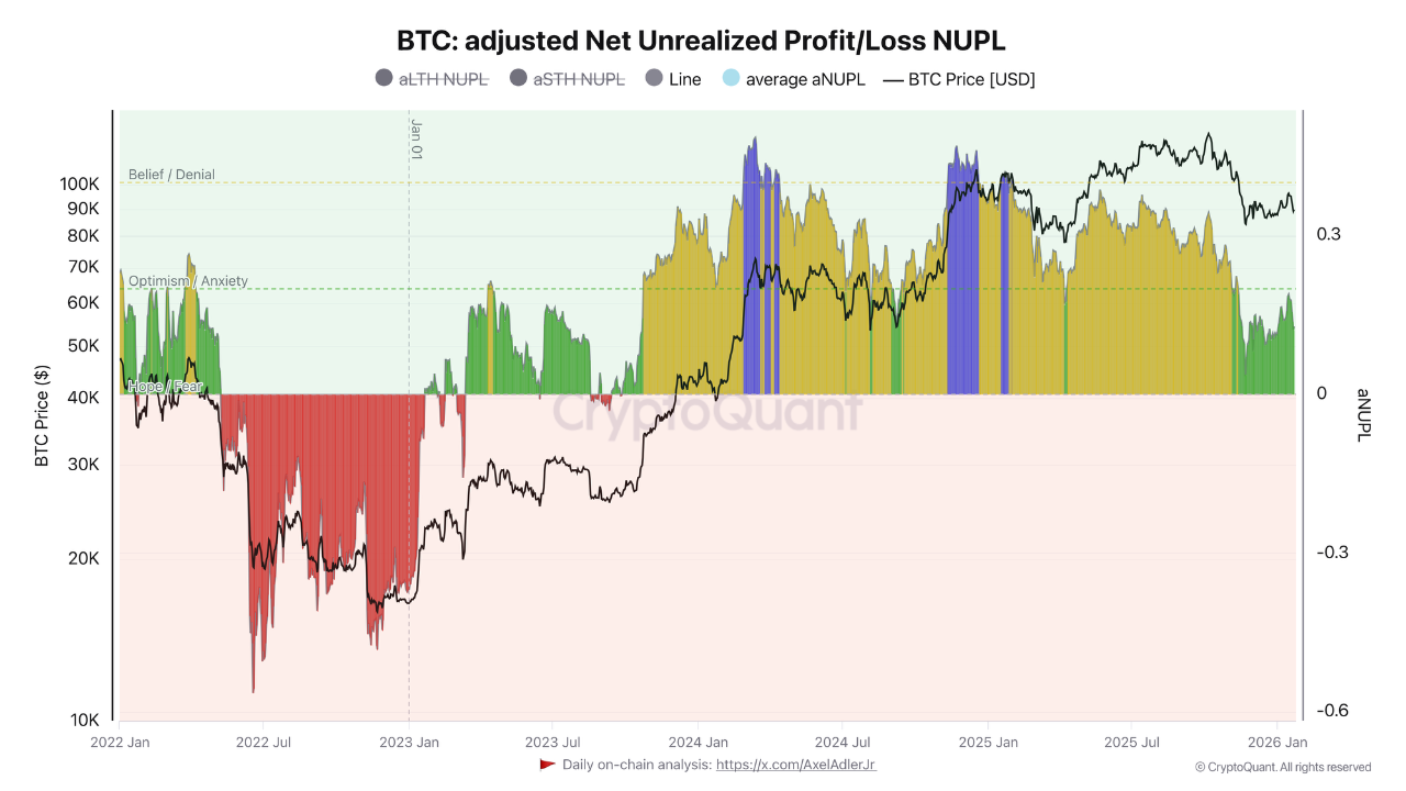 Bitcoin Adjusted Net Unrealized Profit/Loss NUPL | Source: CryptoQuant