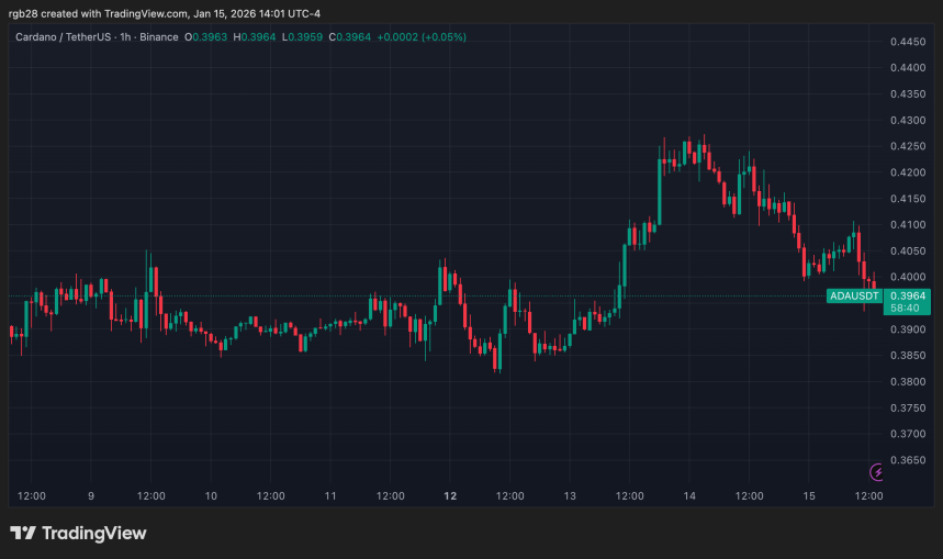 Cardano price movement