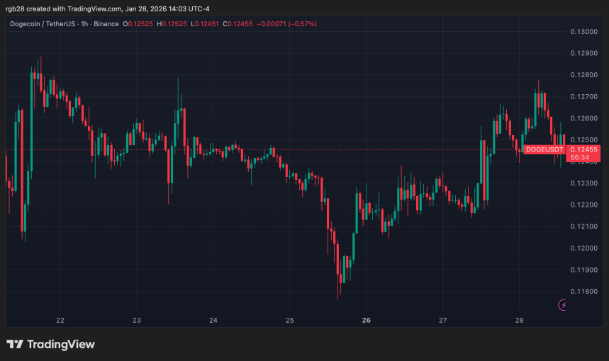 Dogecoin, doge, dogeusdt