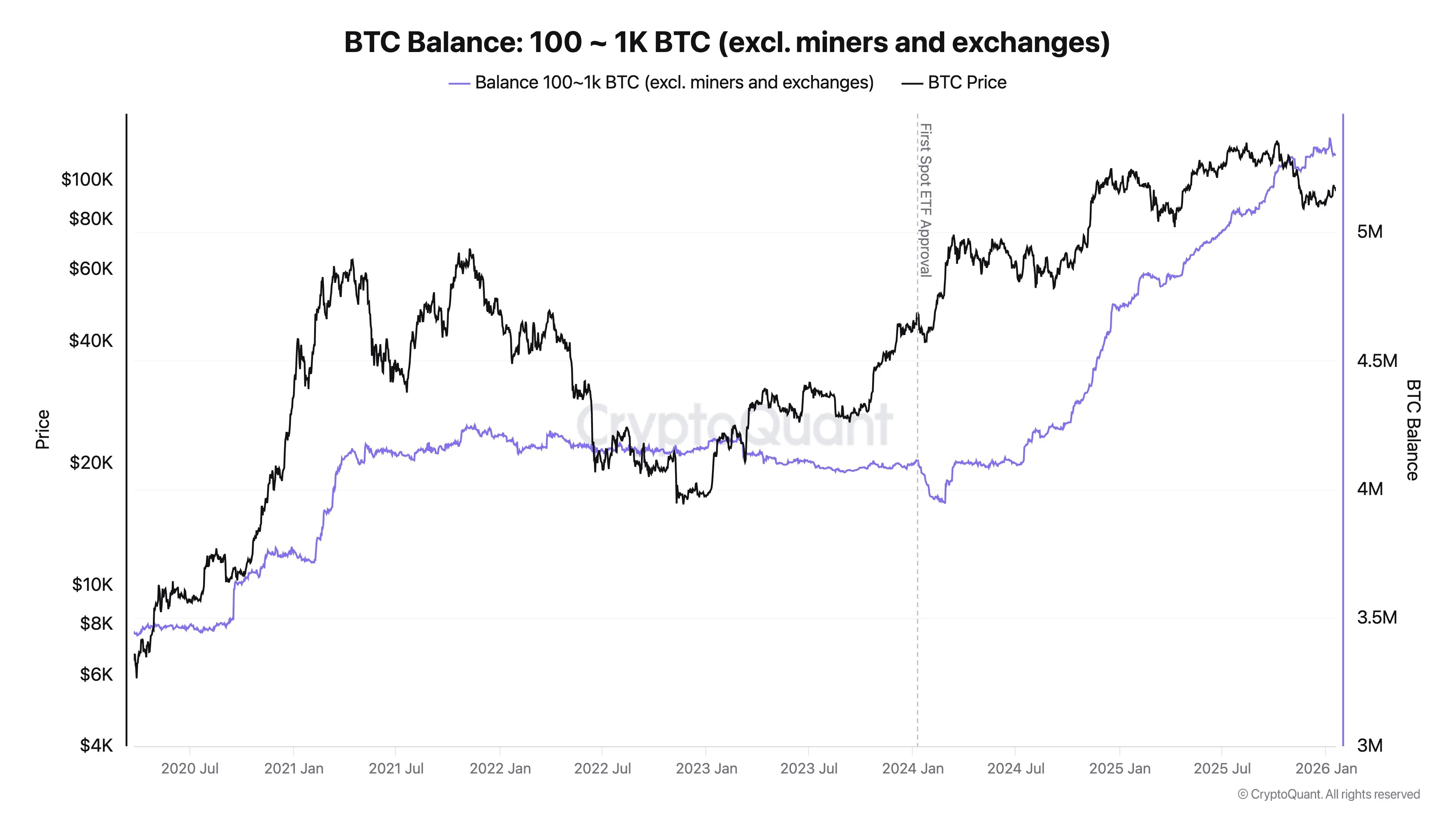 Bitcoin Balance: 100-1,000 BTC