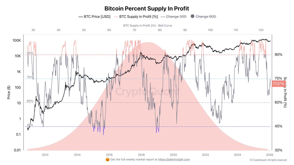 Процент предложения Bitcoin в прибыли | Источник: CryptoQuant