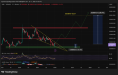 График цены SHIB