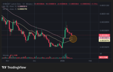 График цены SHIB