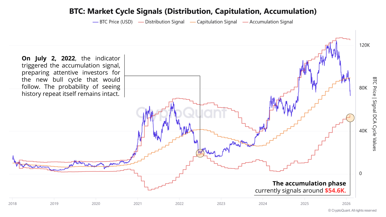 Bitcoin Market Cycle Signals | Source: CryptoQuant