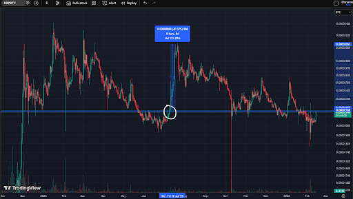 XRP Chart