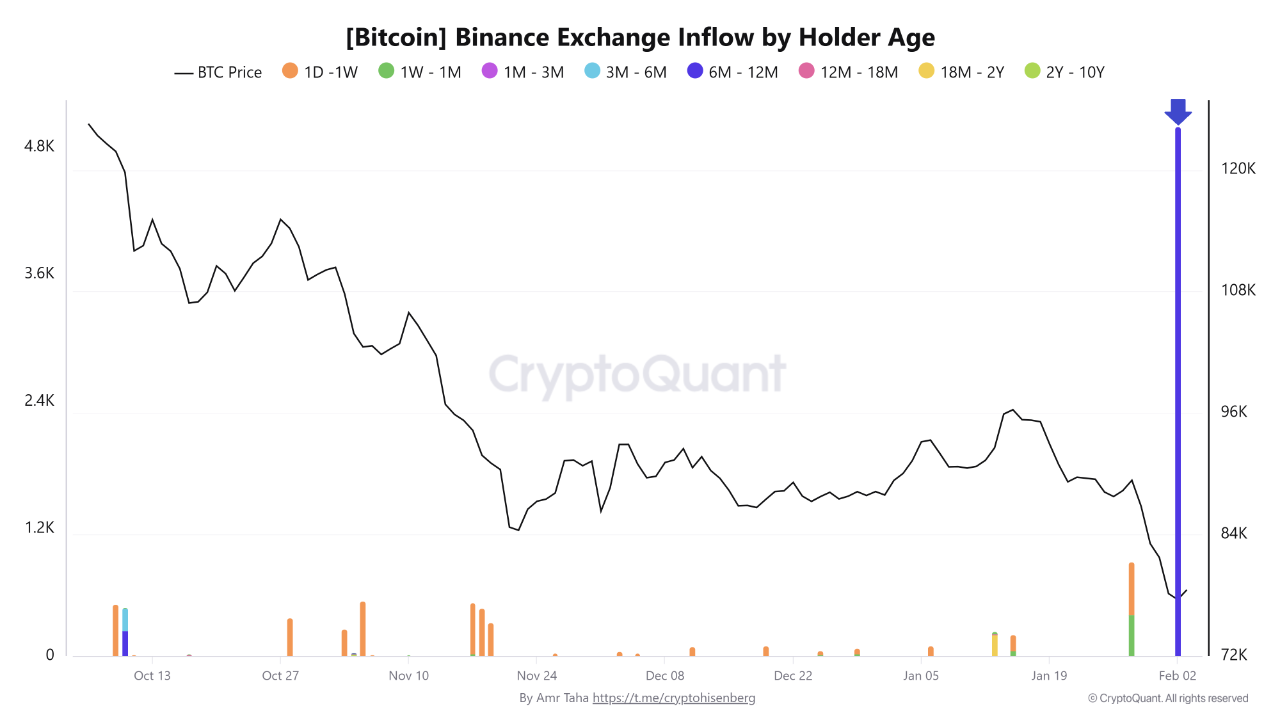 Bitcoin exchange inflow by holder age | Source: CryptoQuant