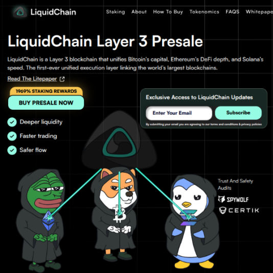 Объяснение на главной странице LiquidChain